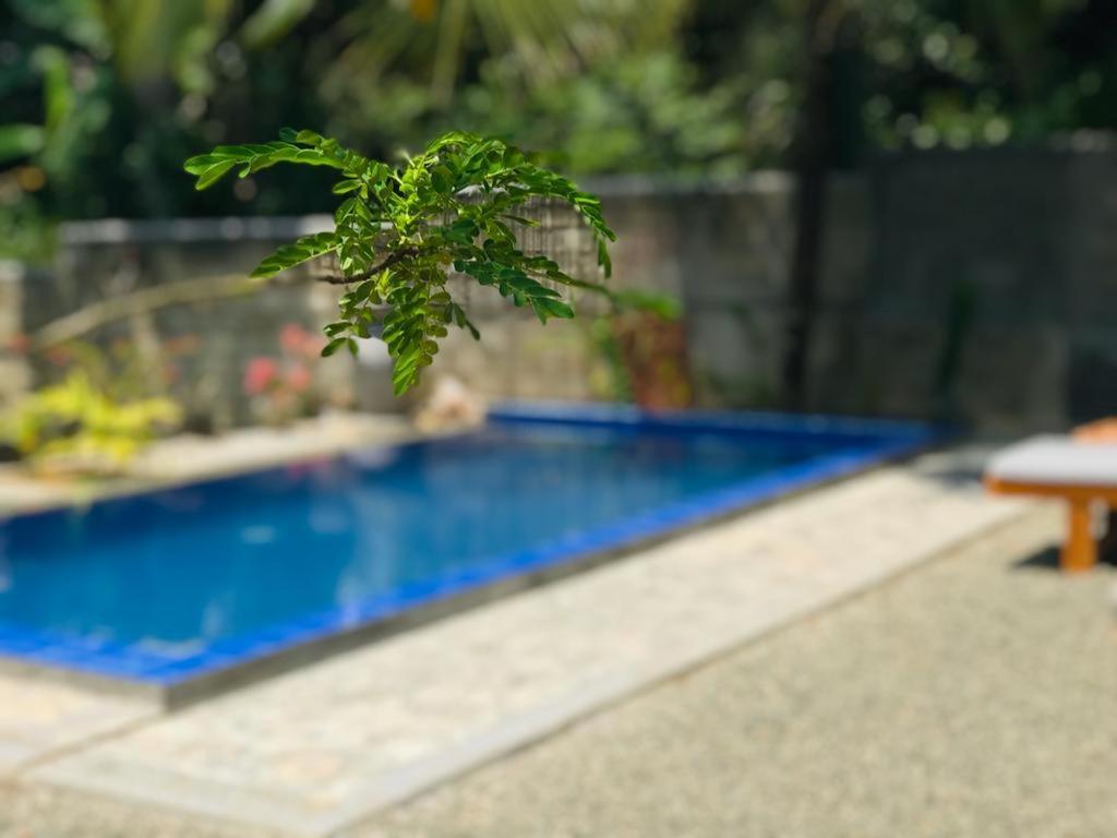 Peaceful Green Villa Unawatuna Exterior foto